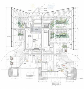 建筑剖面